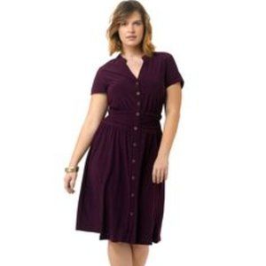 Igigi Chelsea Shirt Dress Plum